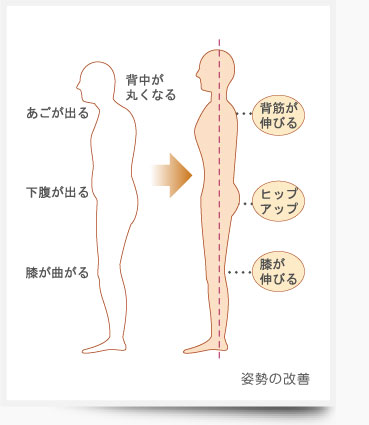 ビランチャオーロは、装着するだけで 背筋、膝の裏を伸ばし 姿勢を良くする手助けをいたします。